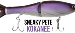 G-Ratt Baits Sneaky Pete Lures