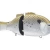 Lures Baitsanity Explorer Gill Glide Bait